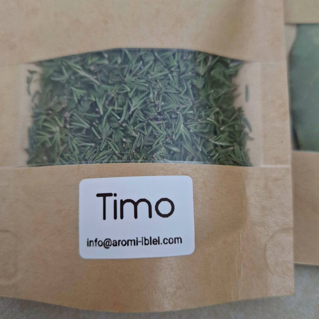 Timo